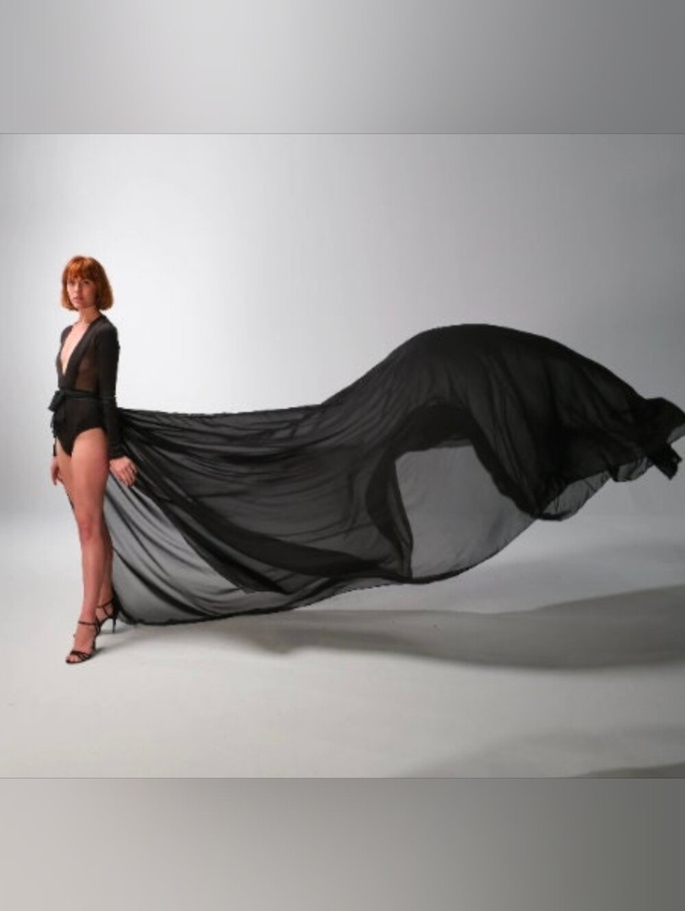 Sheer Black Long Train Gown